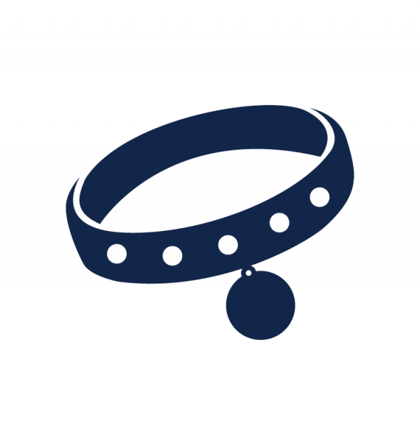 Blue Simple Dog Collar Clipart PNG