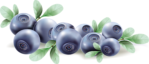 Blueberries Clipart Transparent PNG