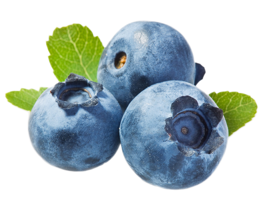 Blueberries Native PNG