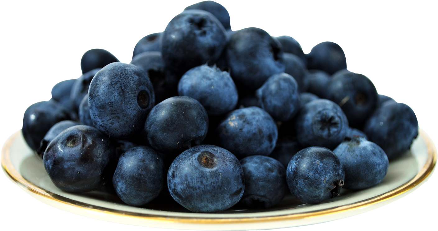 Blueberries Plate PNG