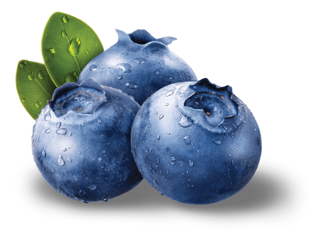 Blueberries Shadow Transparent PNG