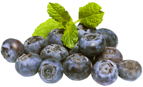 Blueberries Sliced Transparent PNG