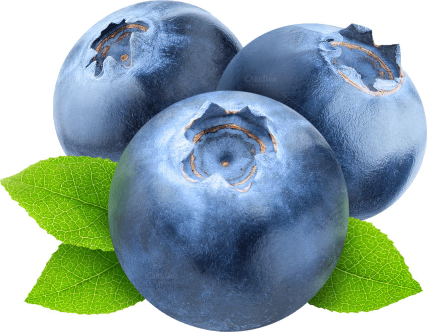 Blueberry PNG Clipart Background