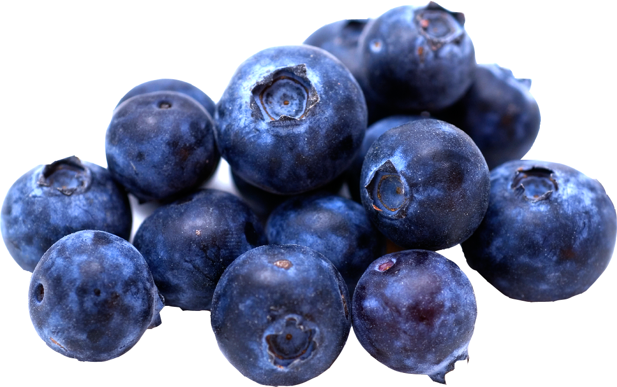 Blueberry PNG HD Quality