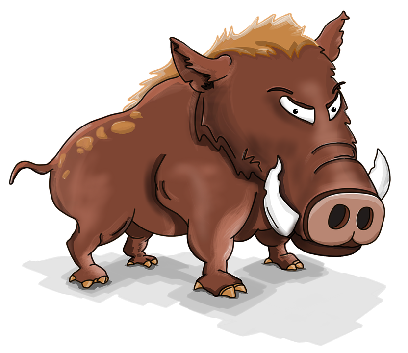 Boar Clipart PNG