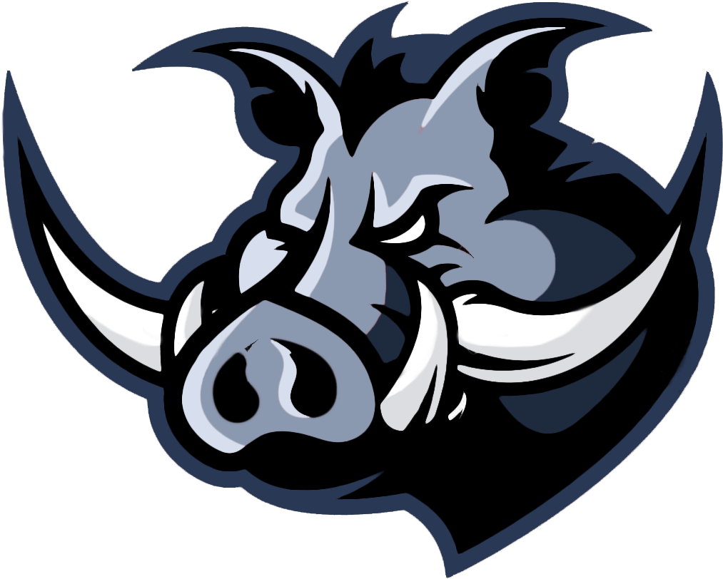 Boar Icon PNG