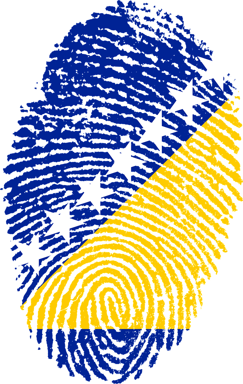 Bosnia And Herzegovina Flag Fingerprint PNG Clipart Background
