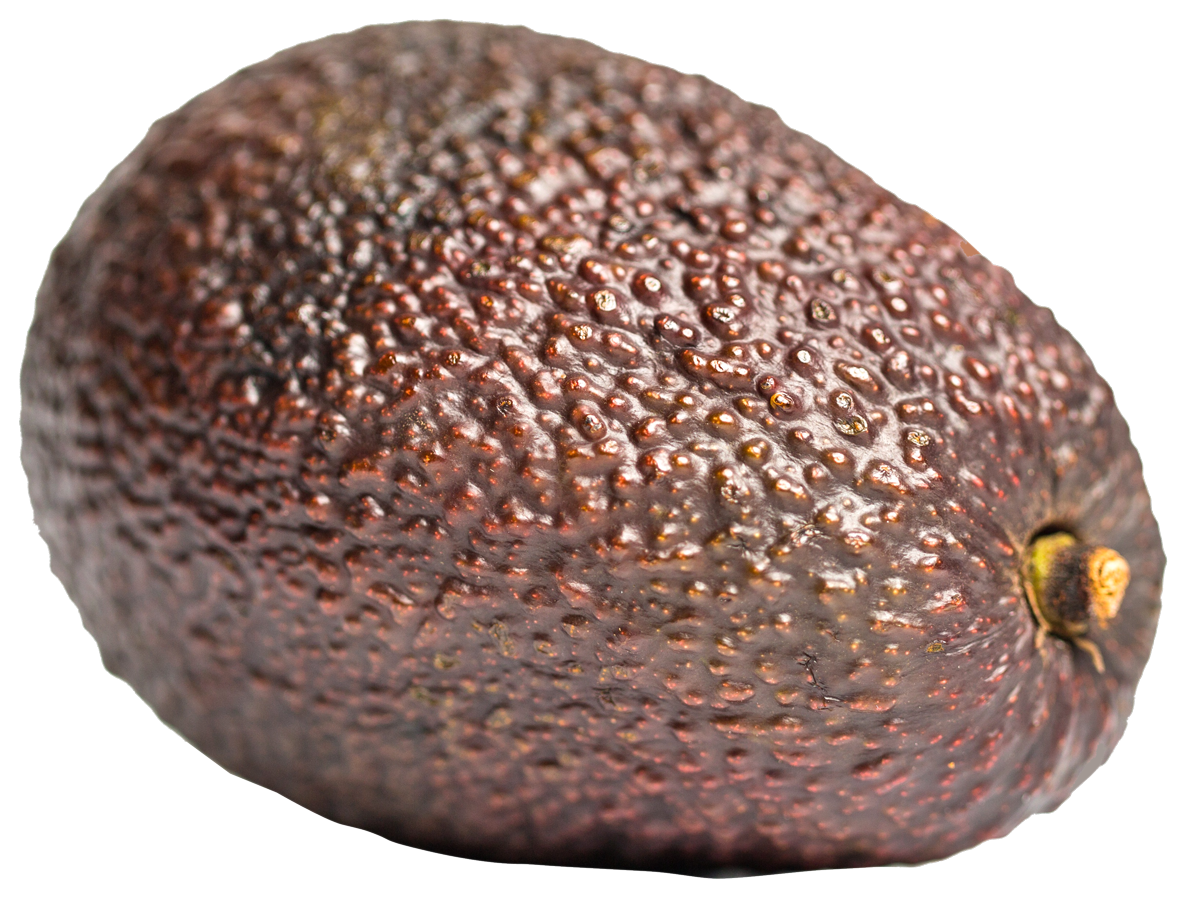 Brown Avocado PNG