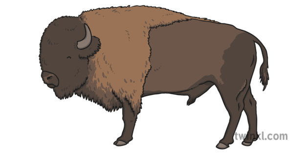 Brown Bison Clipart PNG