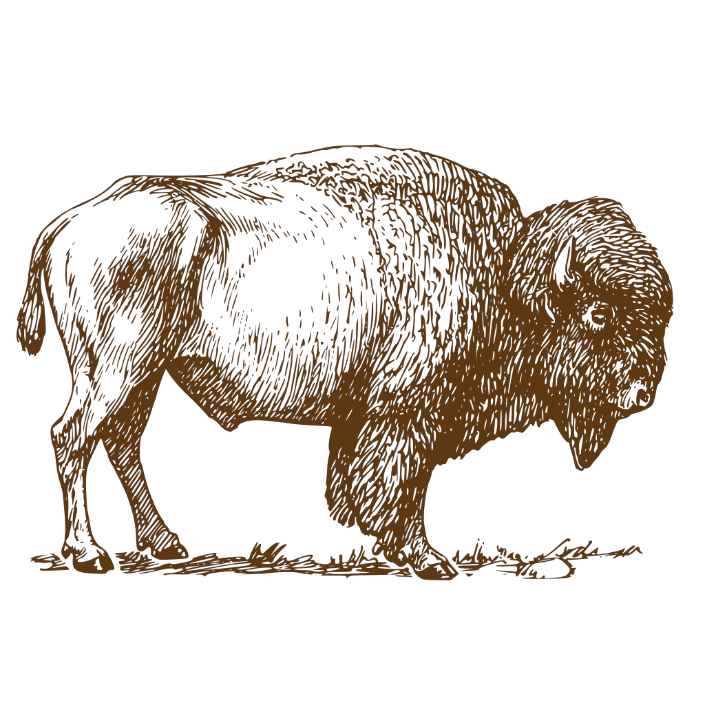 Brown Bison PNG