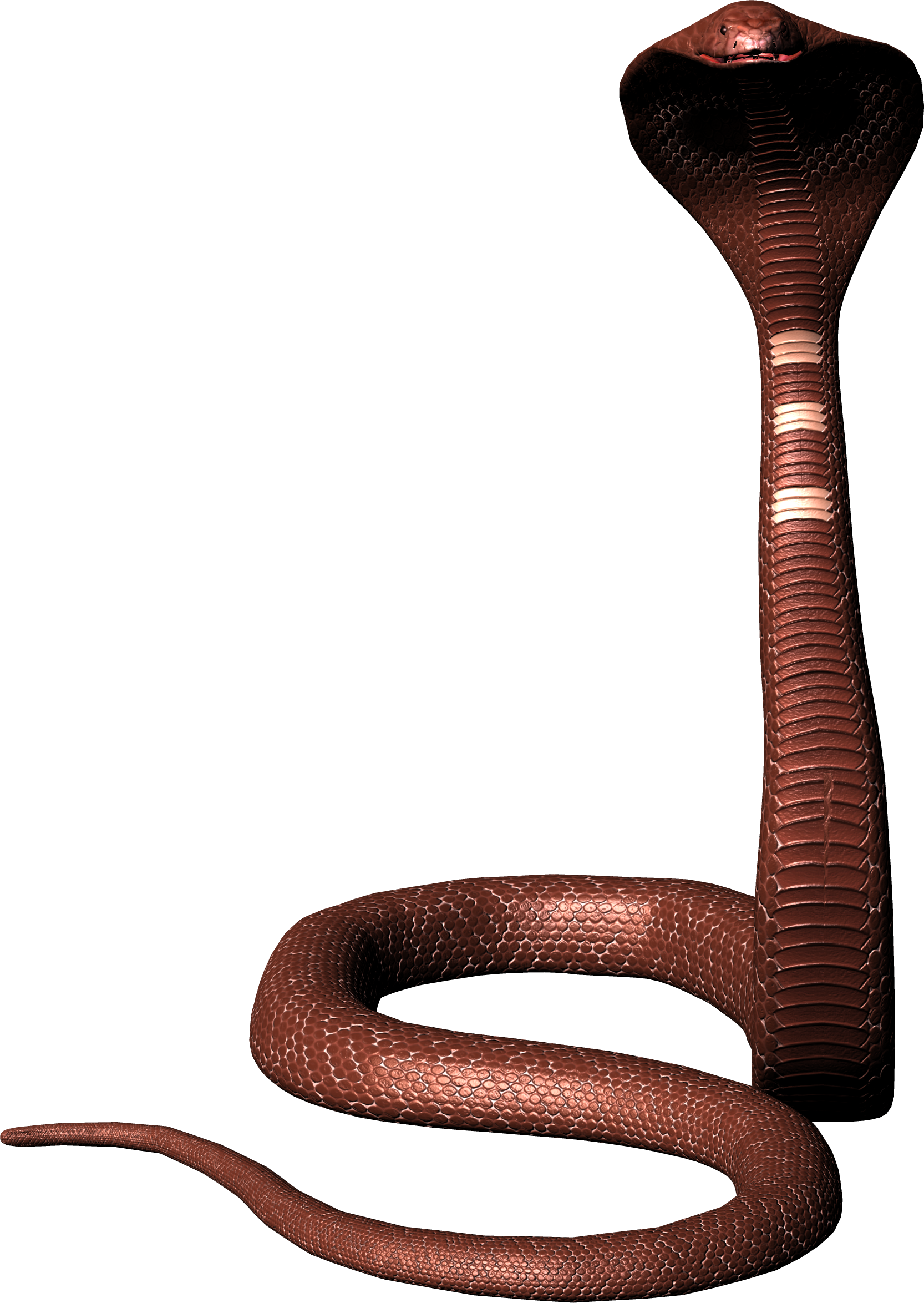 Brown Cobra PNG