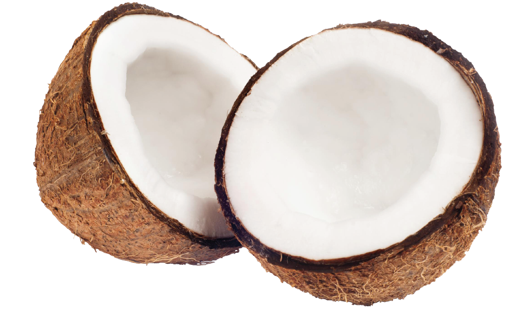 Brown Coconut PNG