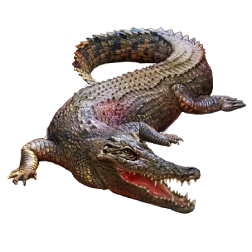 Brown Crocodile Animal PNG