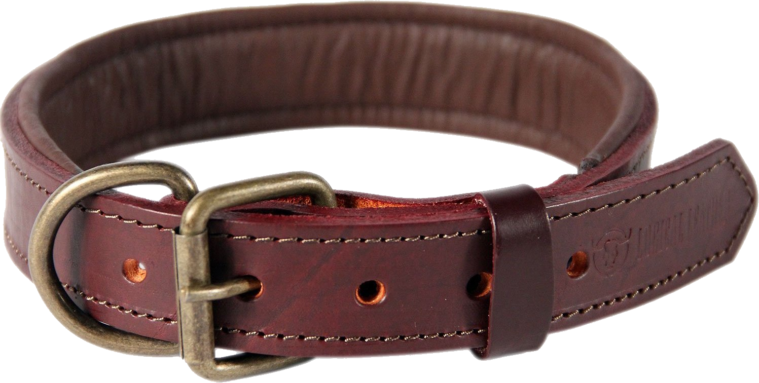 Brown Leather Dog Collar PNG