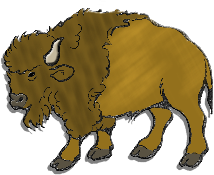 Buffalo Bison PNG