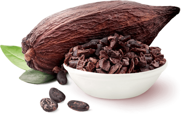Cacao White Bowl Transparent PNG