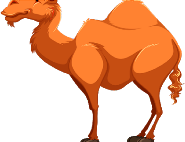 Camel Cartoon PNG