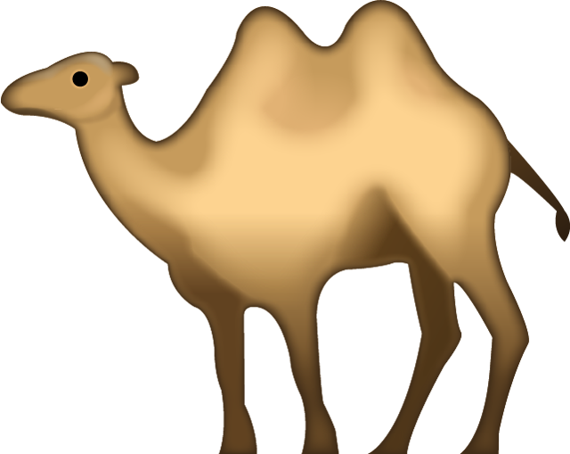 Camel Icon PNG