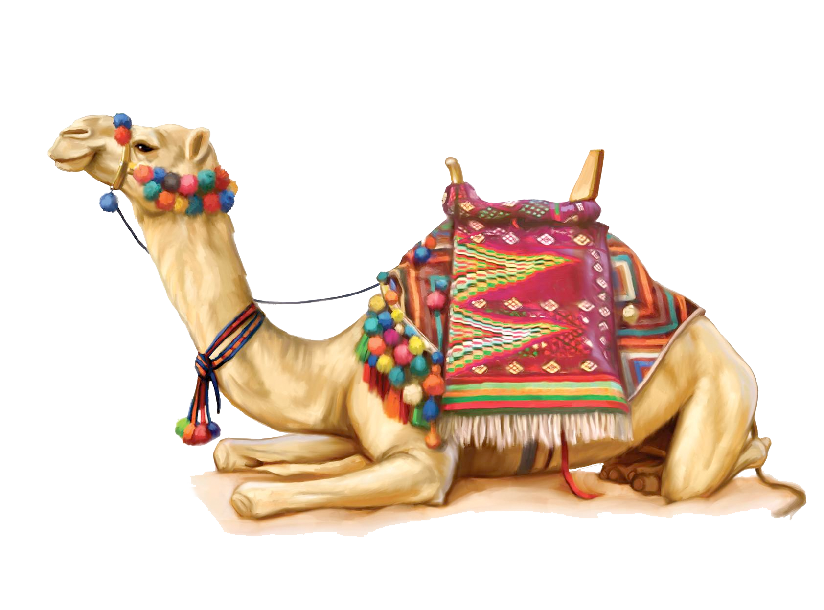 Camel Mammal PNG