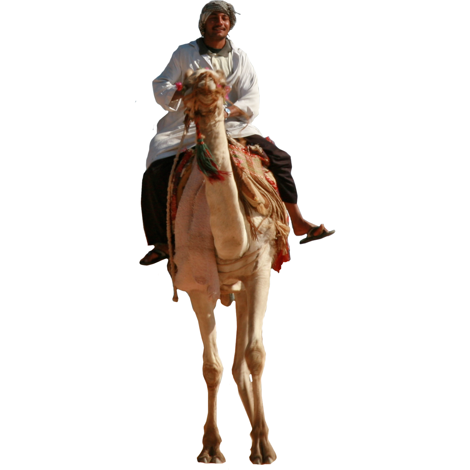 Camel Man Riding PNG