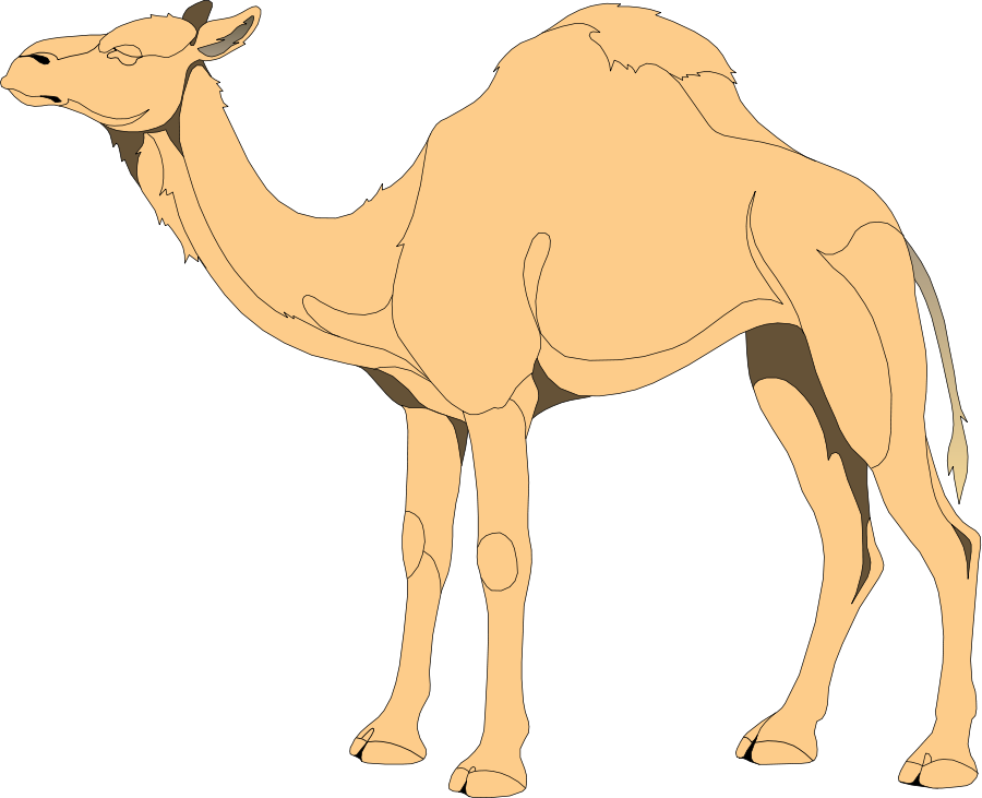Camel Standing Icon PNG