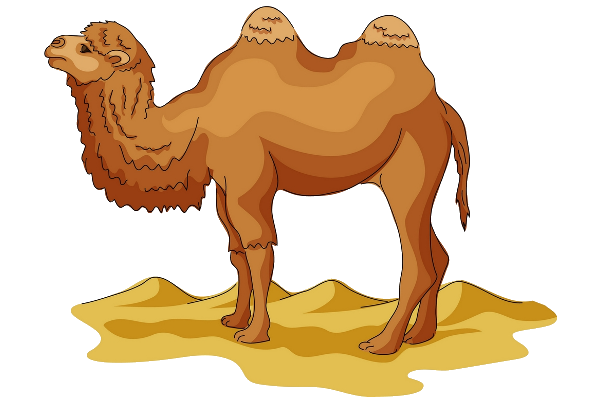 Camel Vector PNG