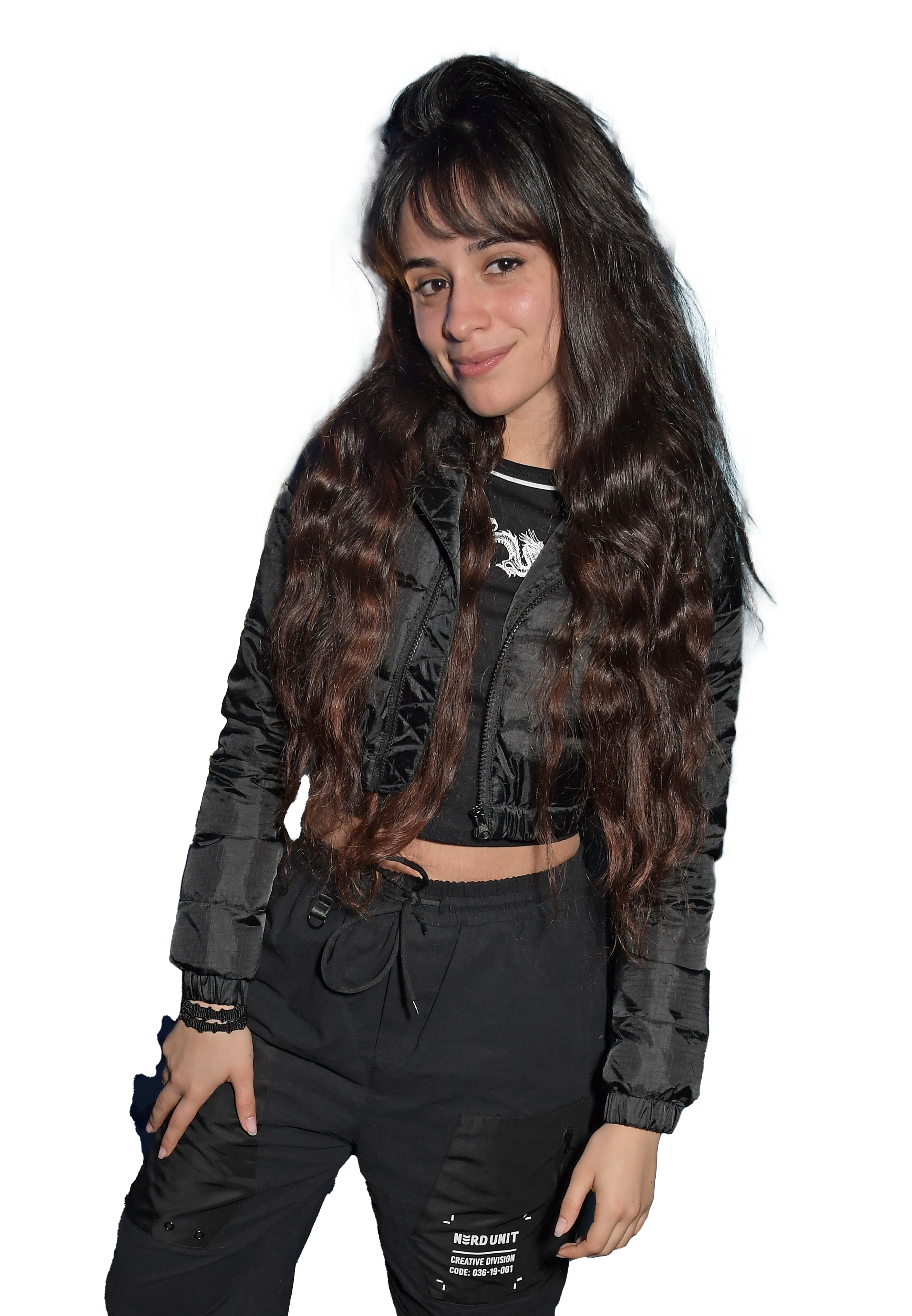 Camila Cabello Black Dress Transparent PNG