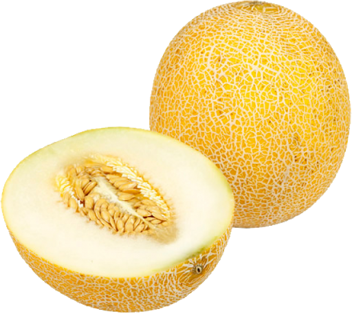 Cantaloupe Melon Transparent PNG