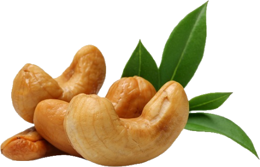 Cashew With Leaves Transparent PNG