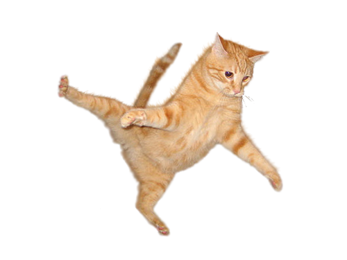 Cat Flying PNG