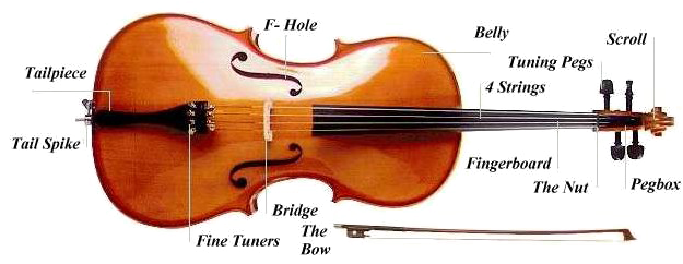 Cello Music Instrument Transparent File