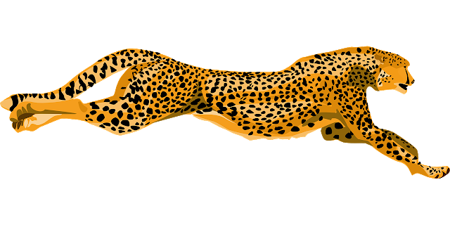 Cheetah Clipart PNG