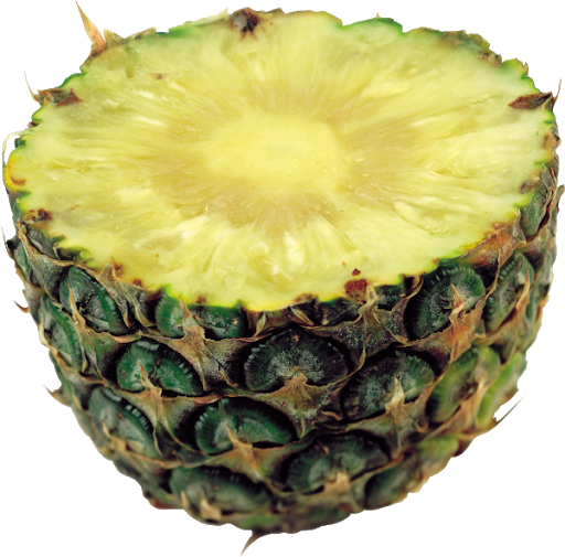 Citrus Pineapple PNG