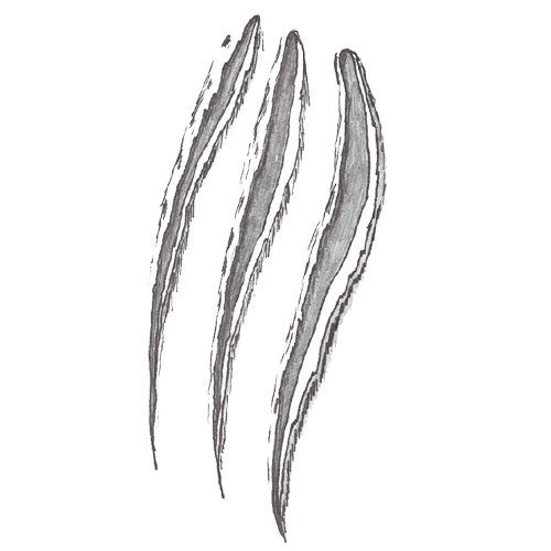 Claw Scratch Mark PNG HD Quality