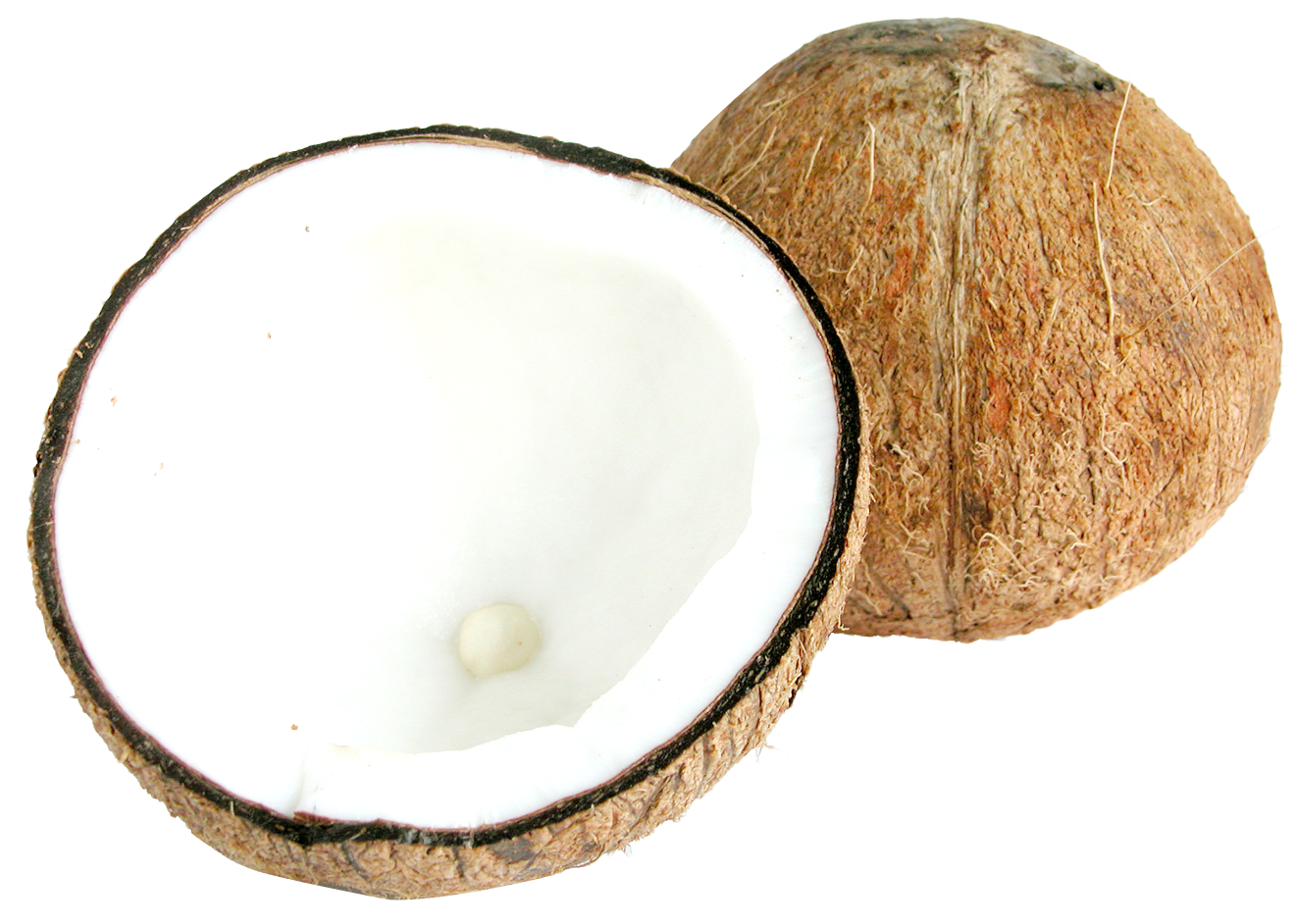 Coconut Inside PNG