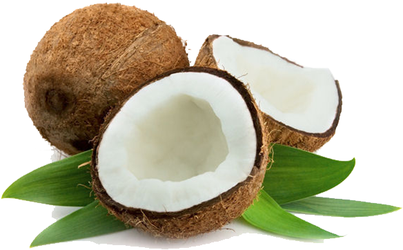 Coconut Organic Transparent PNG