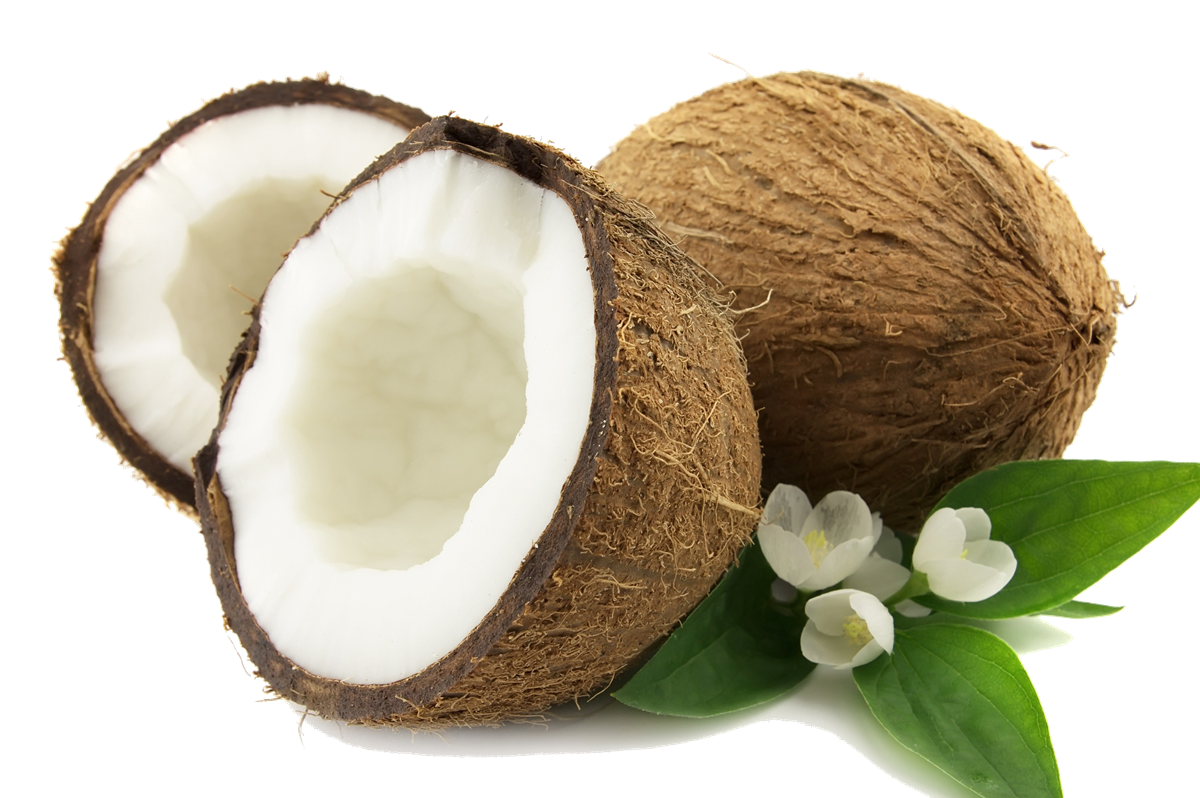 Coconut Sliced PNG