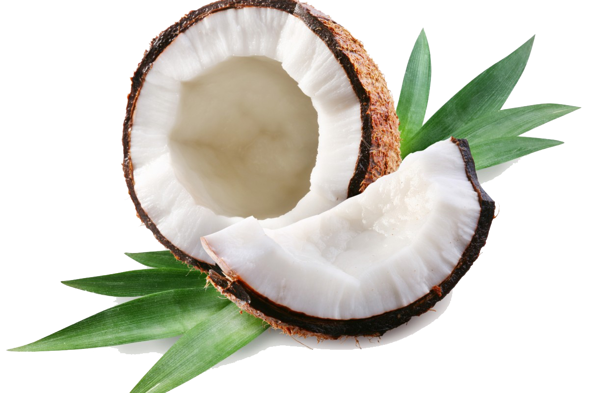 Coconut With Leaves PNG