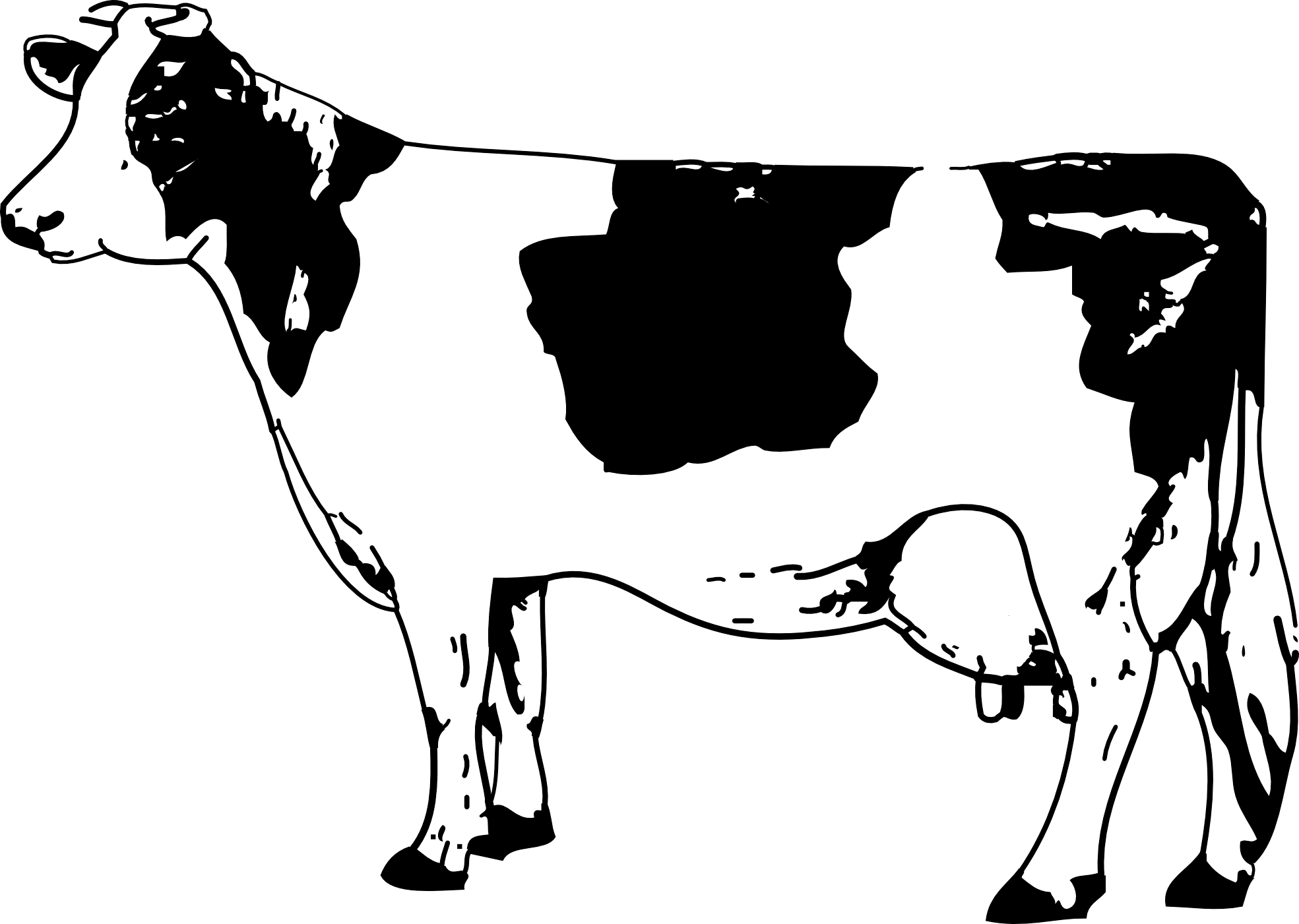 Cow Clipart PNG