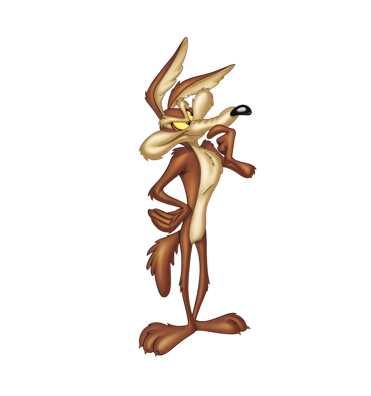 Coyote Cartoon PNG | PNG Play