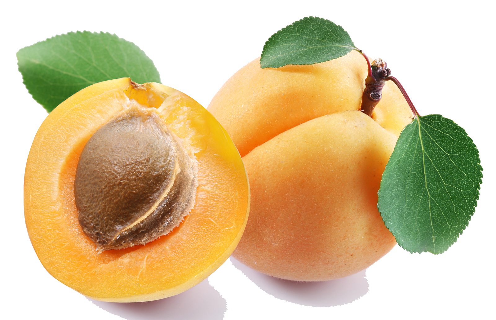 Cut Apricot PNG