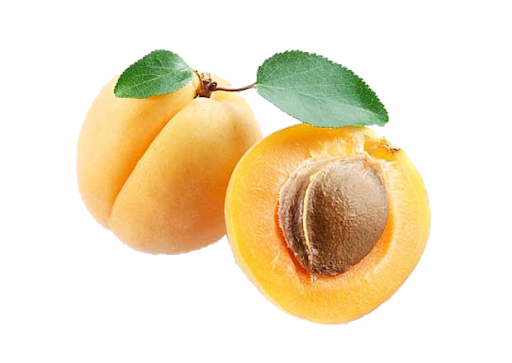 Cut Orange Apricot Transparent PNG