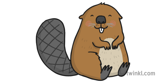 Cute Beaver Transparente PNG