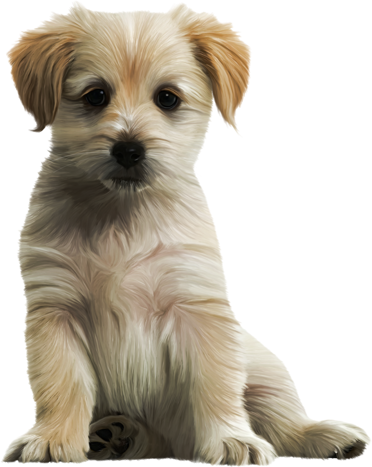 Cute Dog Transparent PNG