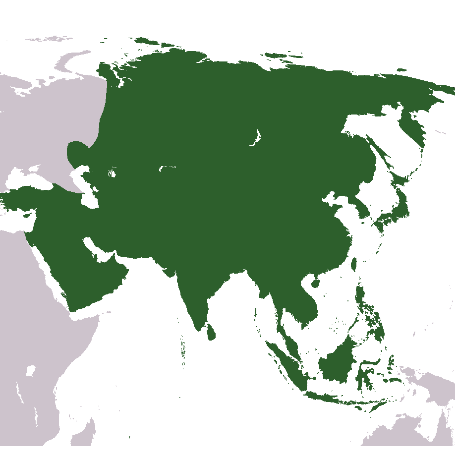 Dark Asia Map Transparent PNG