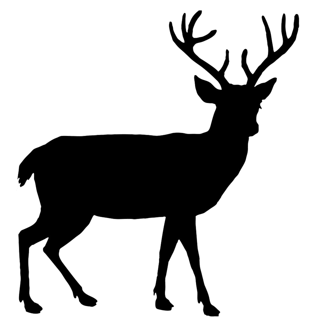 Deer Black Silhouette Transparent PNG