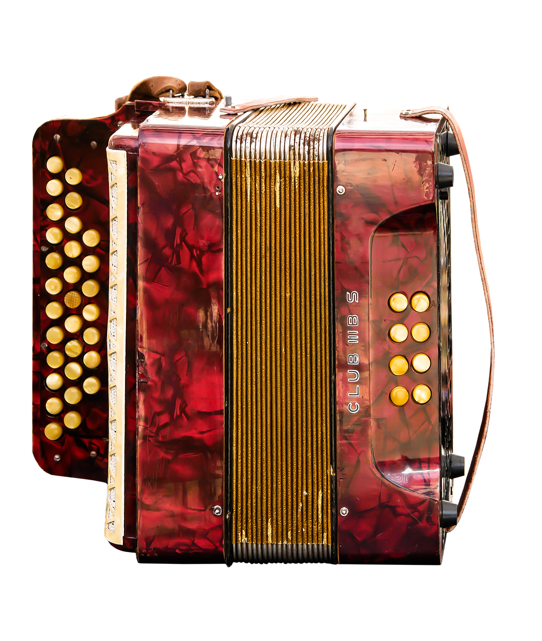 Diatonic Accordion PNG Clipart Background