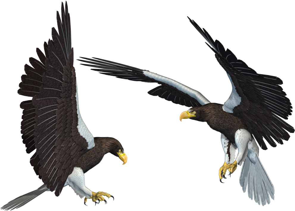 Diving Eagle PNG HD Quality