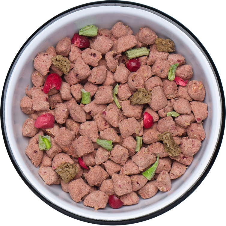 Dog Food Bowl Transparent PNG