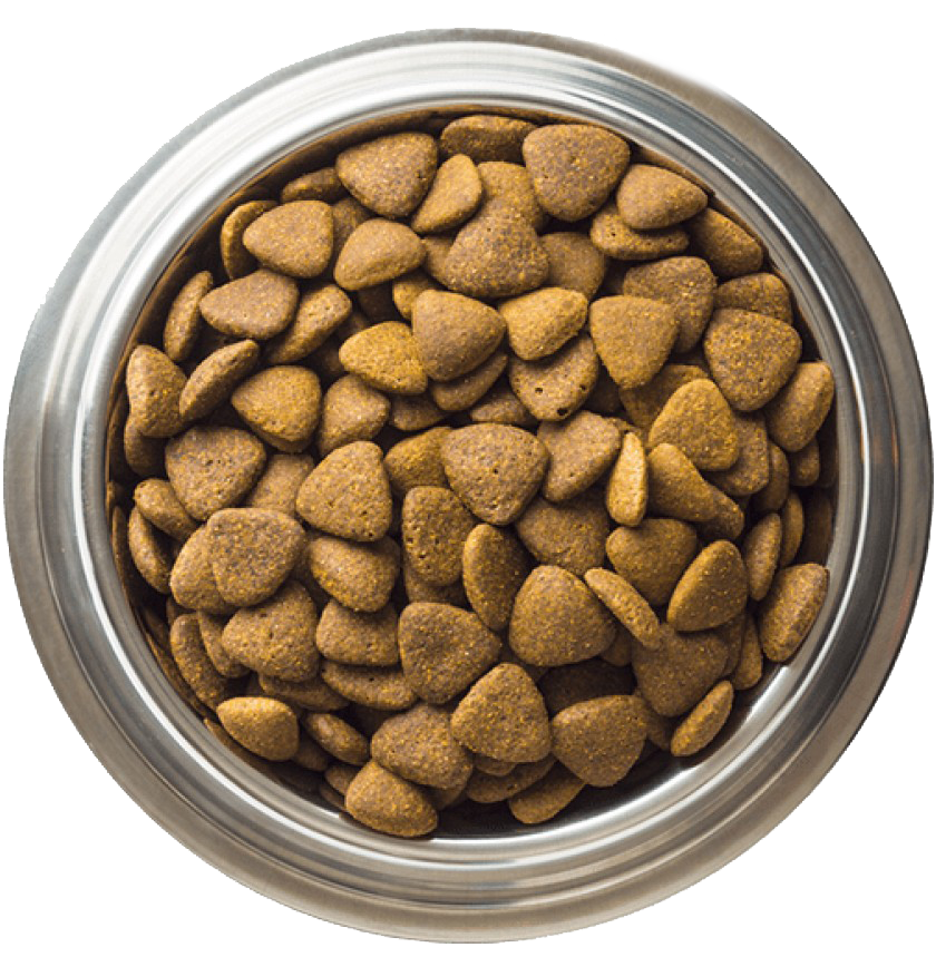 Dog Food Feed Transparent PNG